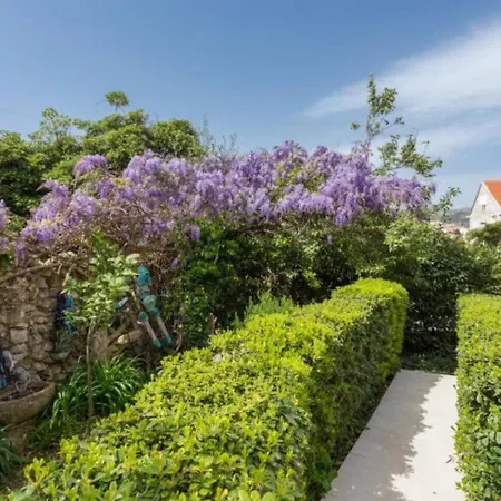 Star 2 Apartamento Dubrovnik