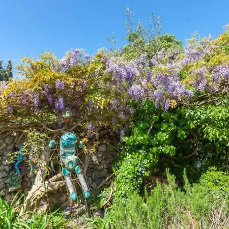 Lägenhet Star 2 Dubrovnik