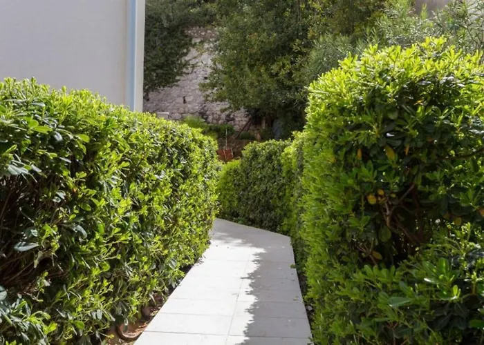 Апартаменты Star 2